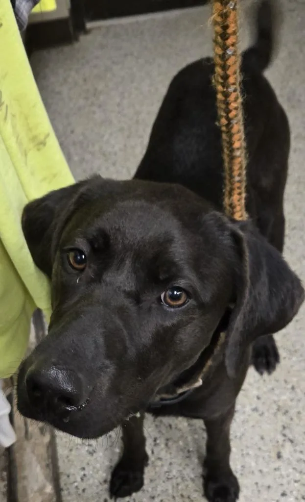 Warren Aka "poncho thumbnail 2