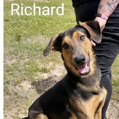 Richard thumbnail 4