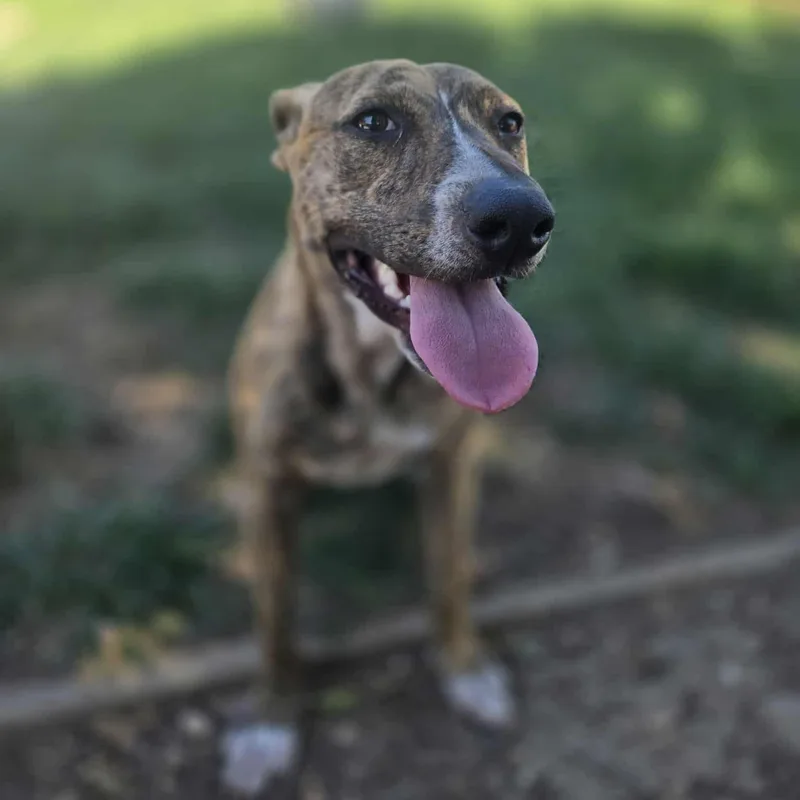 Radar Partially Blind Abuse thumbnail 4