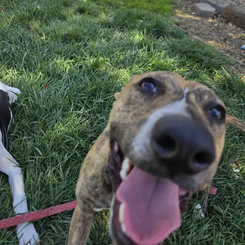 Radar Partially Blind Abuse thumbnail 5