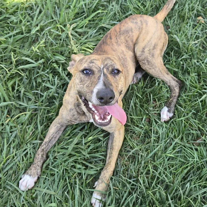 Radar Partially Blind Abuse