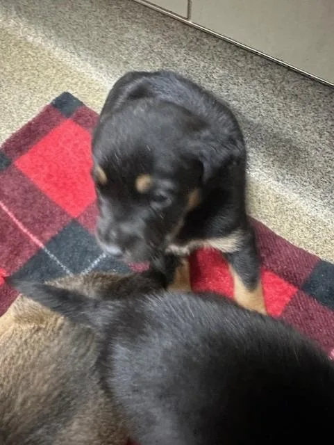 East Th Monica Putton