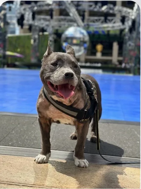 Nipsey Russel thumbnail 2