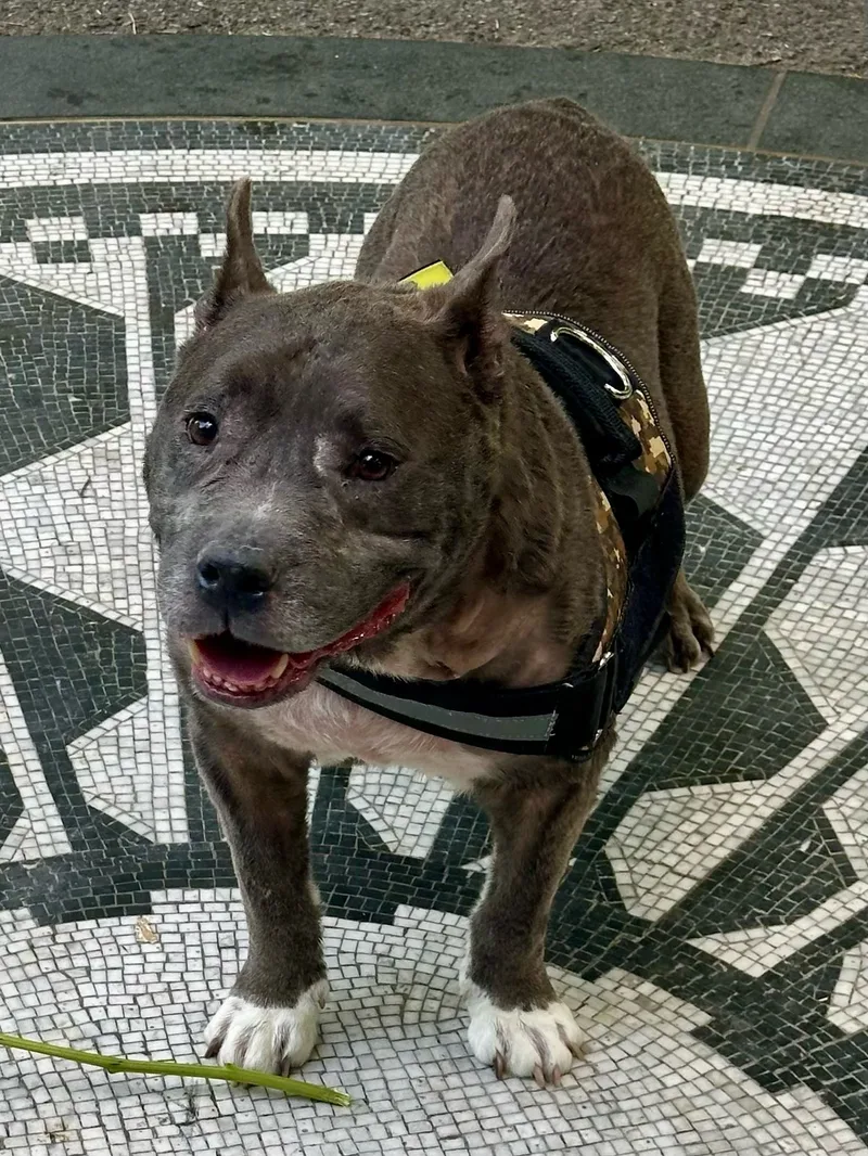 Nipsey Russel thumbnail 3