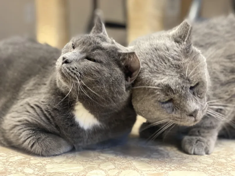 Big Mama thumbnail 2