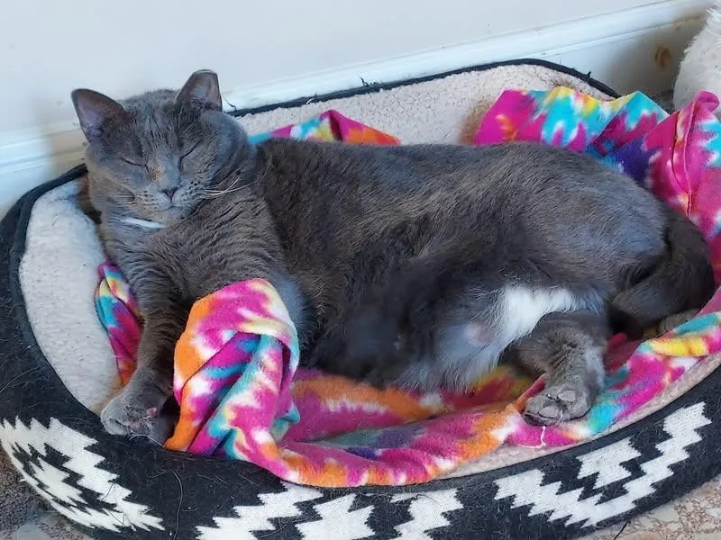 Big Mama thumbnail 4