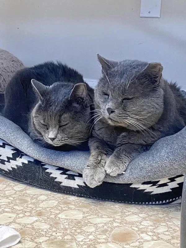 Big Mama thumbnail 5