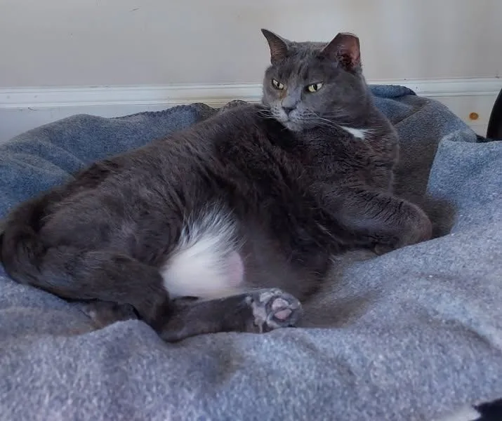 Big Mama thumbnail 6