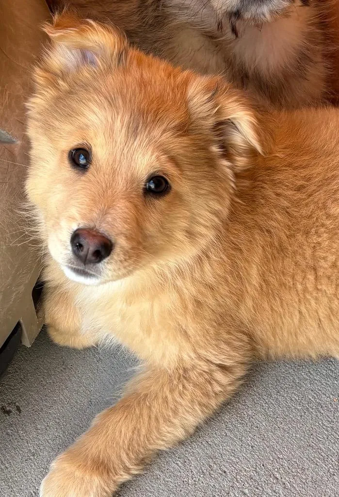 Kenya Rosewater thumbnail 2