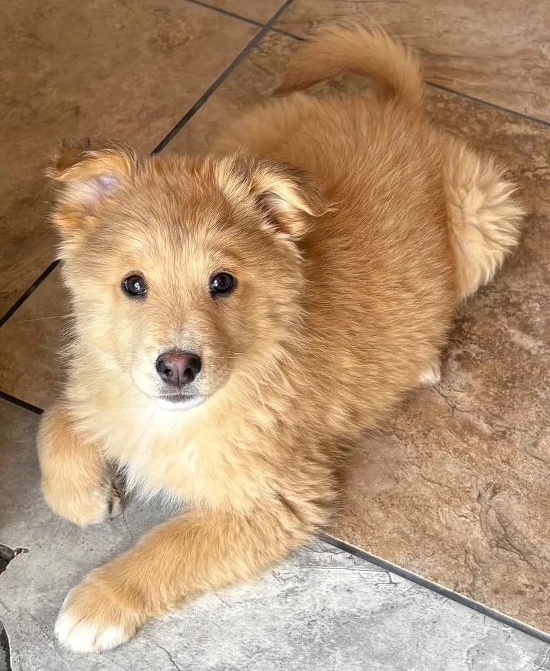 Kenya Rosewater thumbnail 3