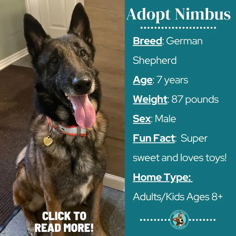 Nimbus thumbnail 6
