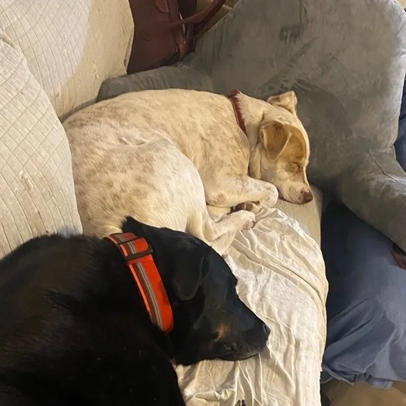 Murdock Wvjct thumbnail 5