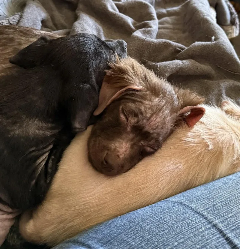 Baby Fiona thumbnail 3