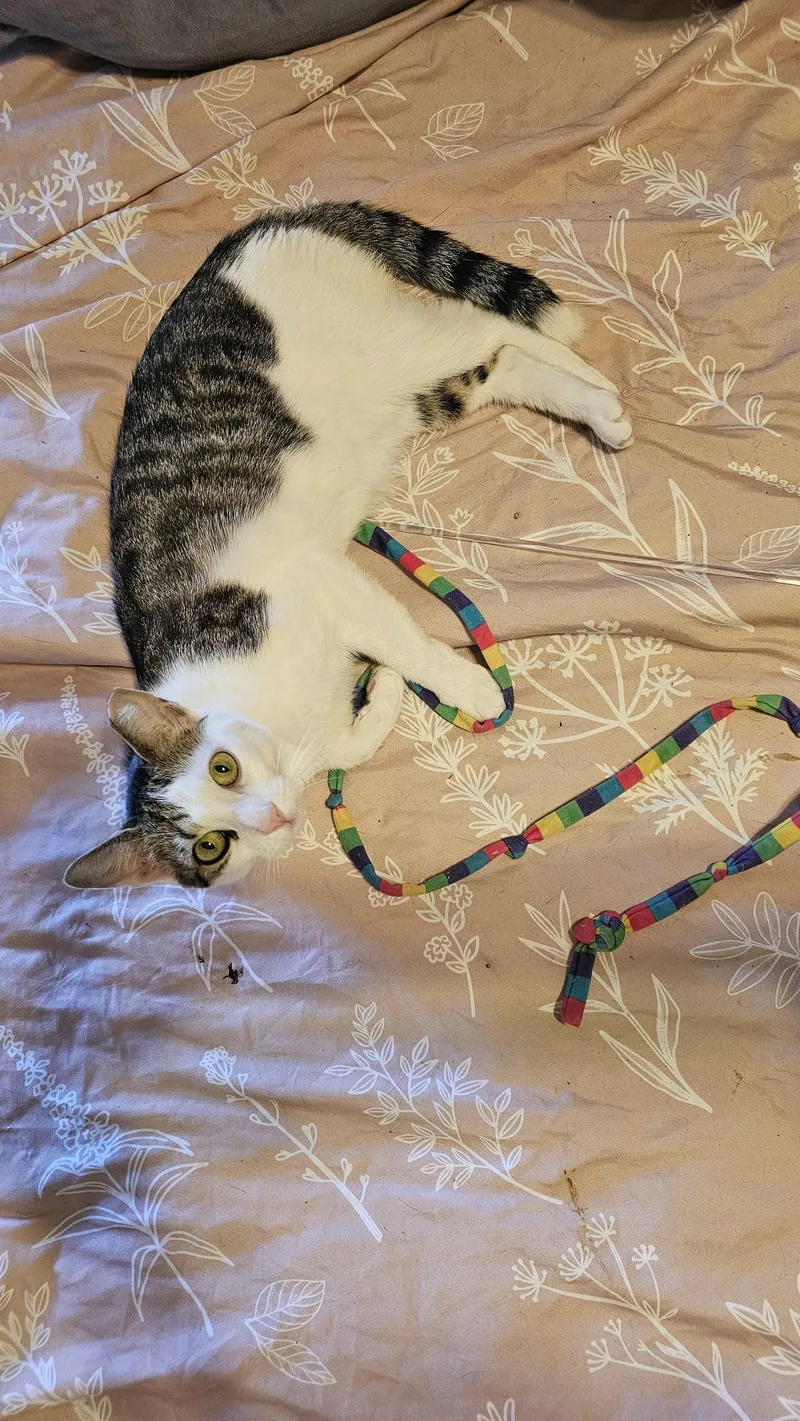 Little Lucy thumbnail 2