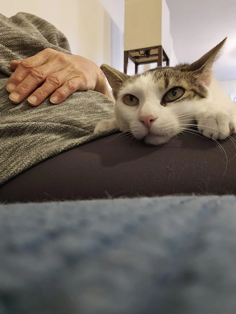 Little Lucy thumbnail 4