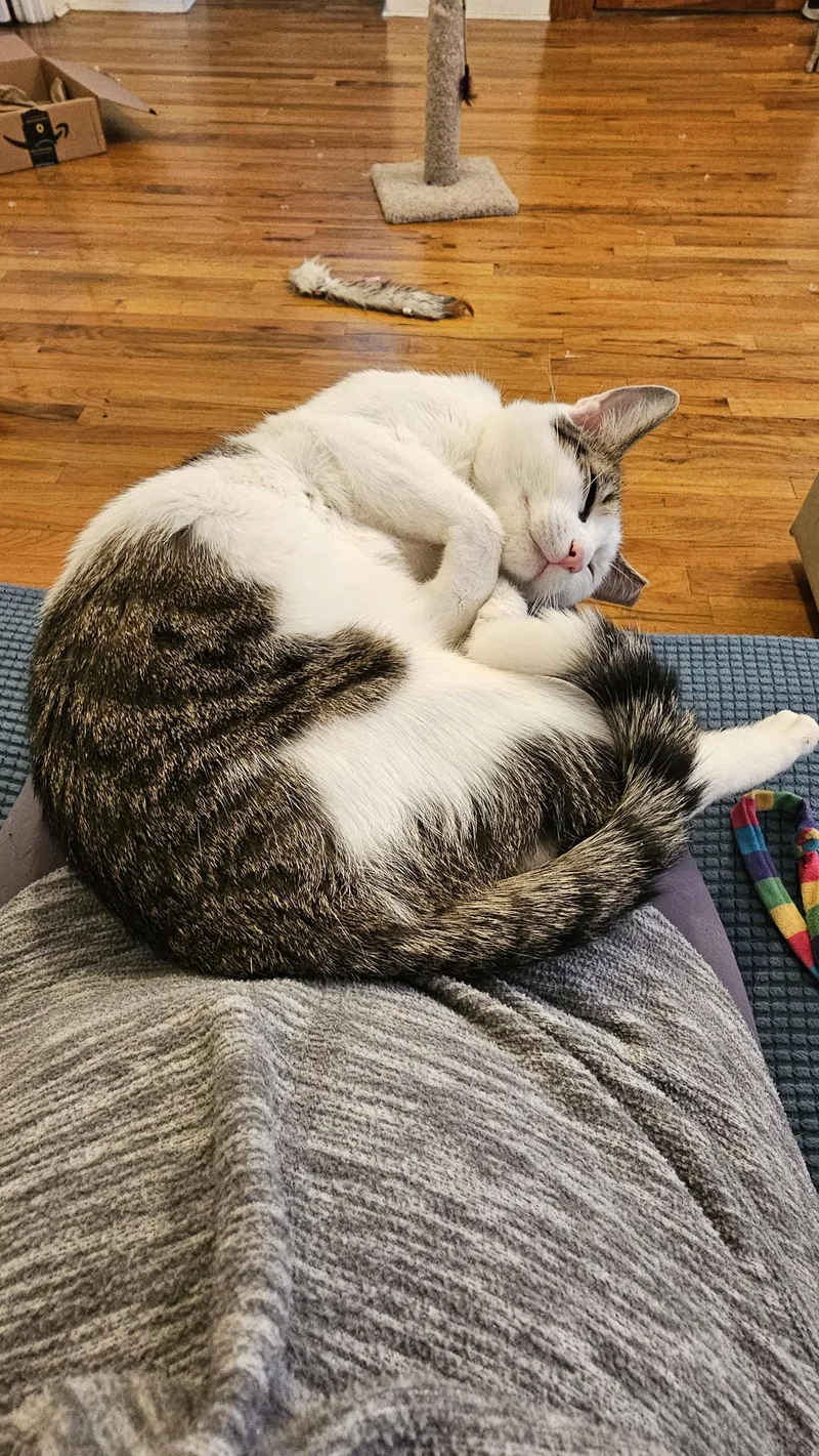 Little Lucy thumbnail 5