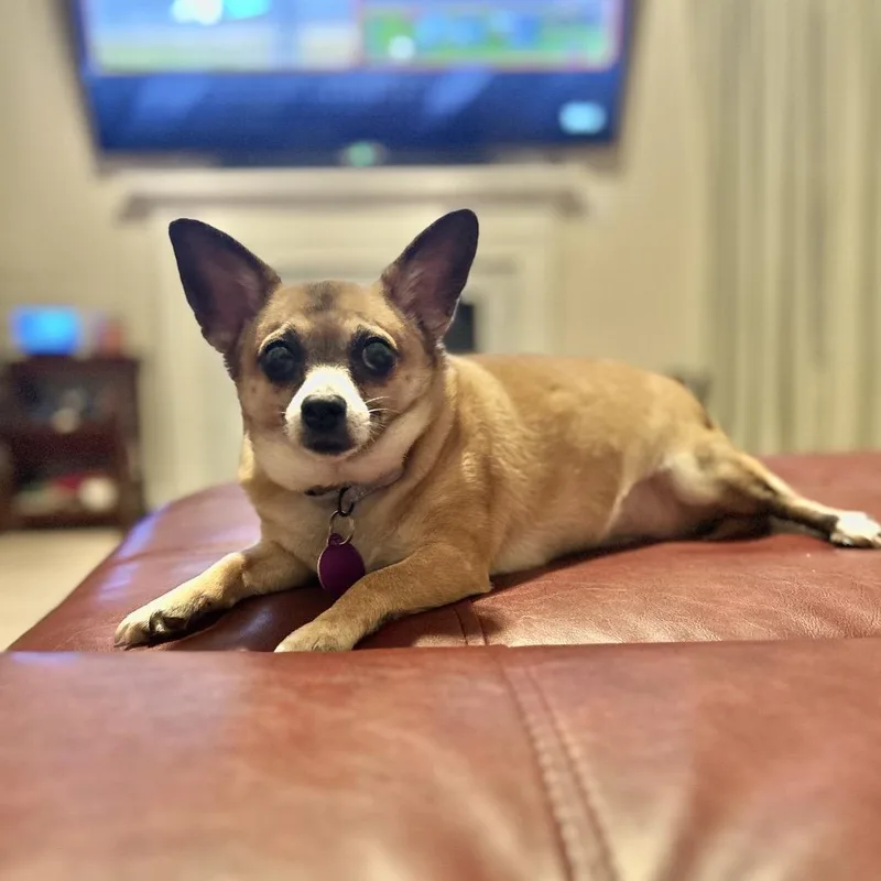 Babblerocks thumbnail 2