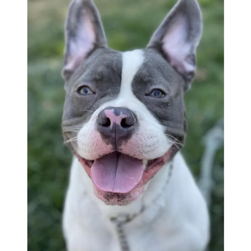 Hank  Ecas thumbnail 2