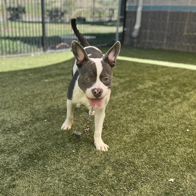 Hank  Ecas thumbnail 3