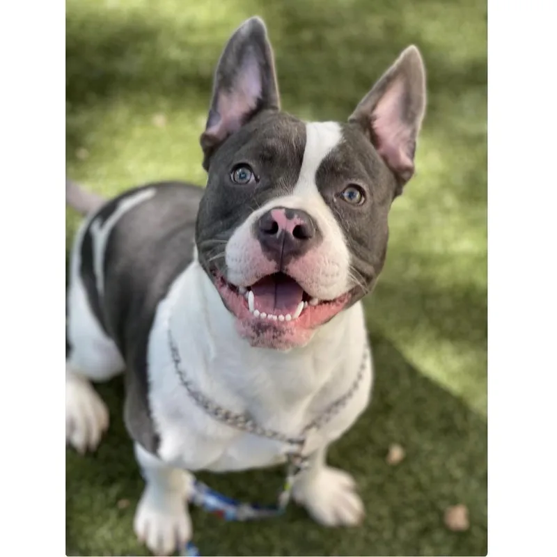 Hank  Ecas thumbnail 4