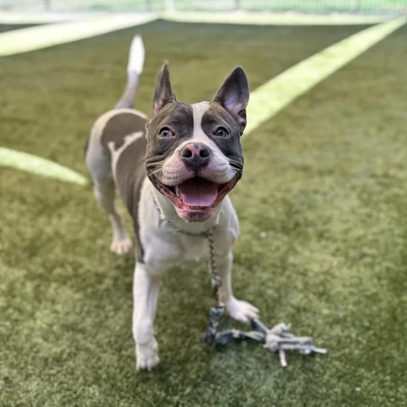 Hank  Ecas thumbnail 5