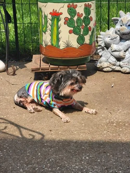 Betty thumbnail 3