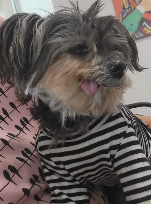 Betty thumbnail 5
