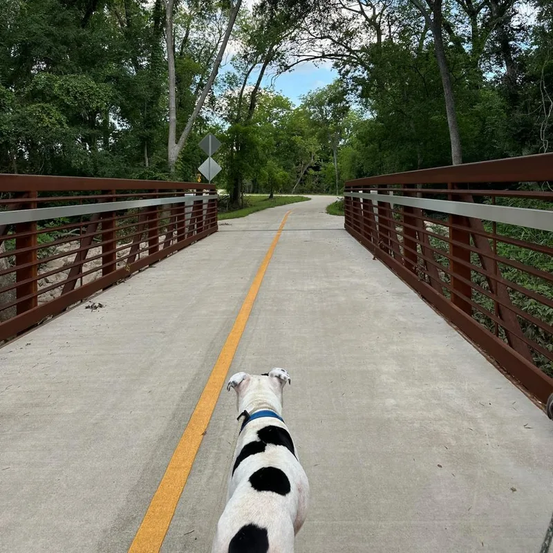 Ferguson thumbnail 2