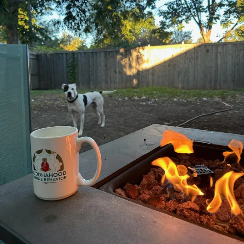 Ferguson thumbnail 6