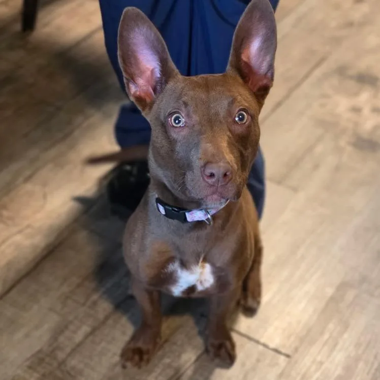 Ruby