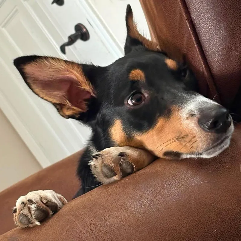 Leo