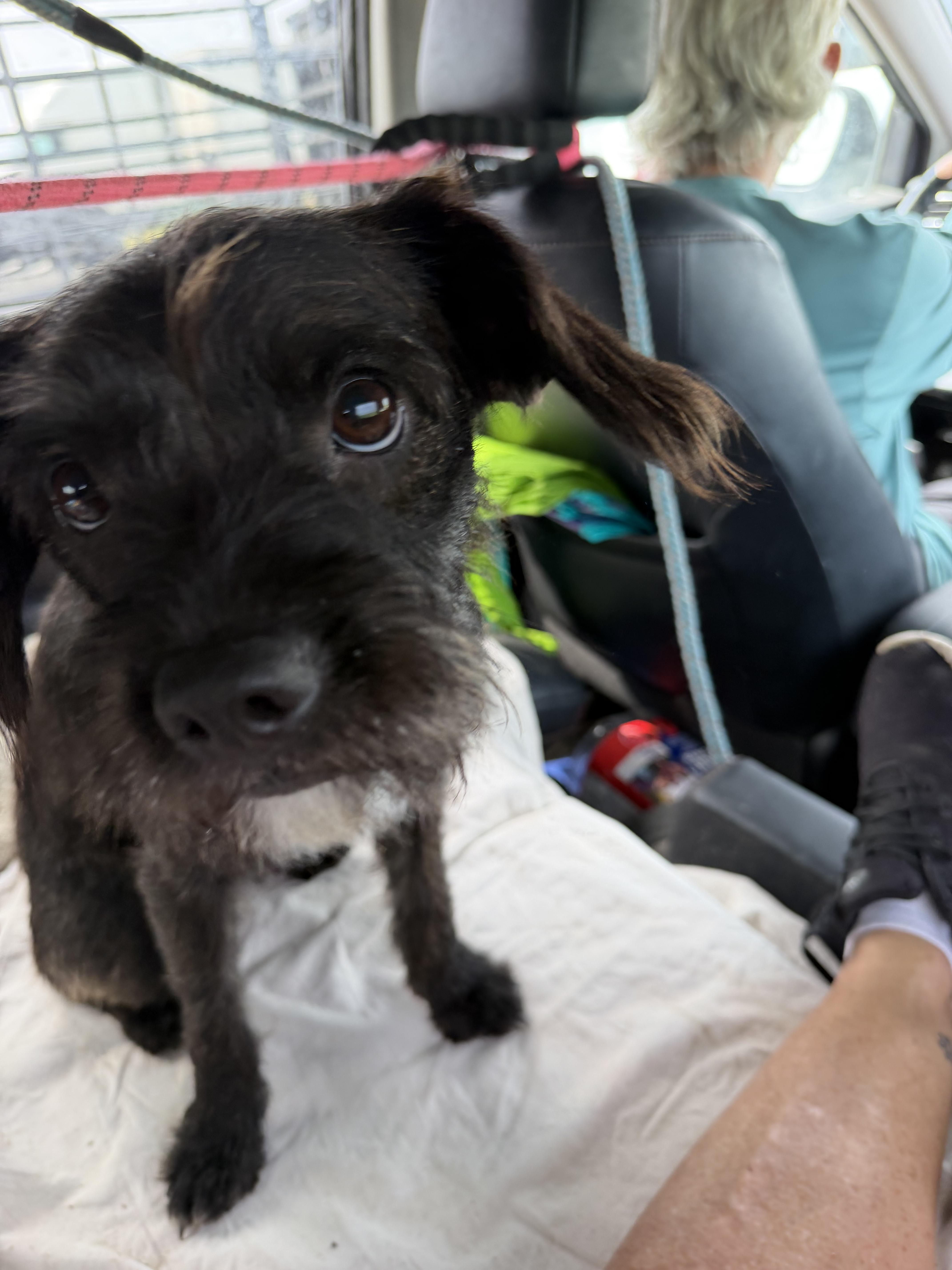 Maggie thumbnail 2