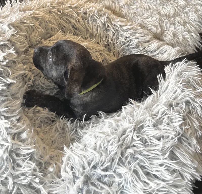 Sally Brown thumbnail 2