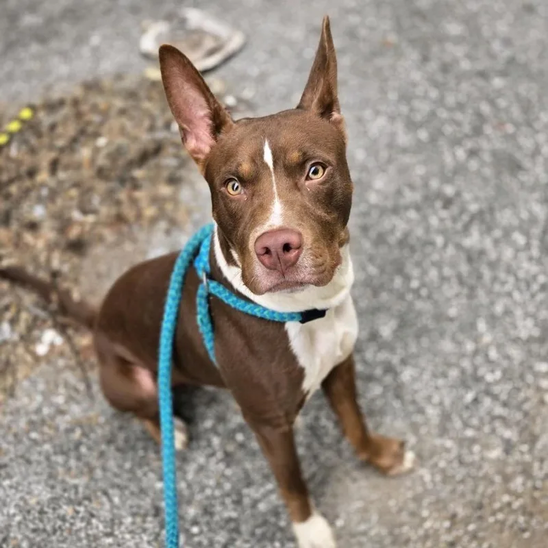 Osbourne thumbnail 2