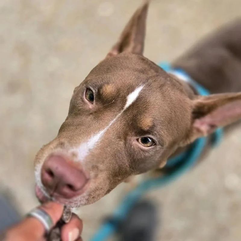 Osbourne thumbnail 6