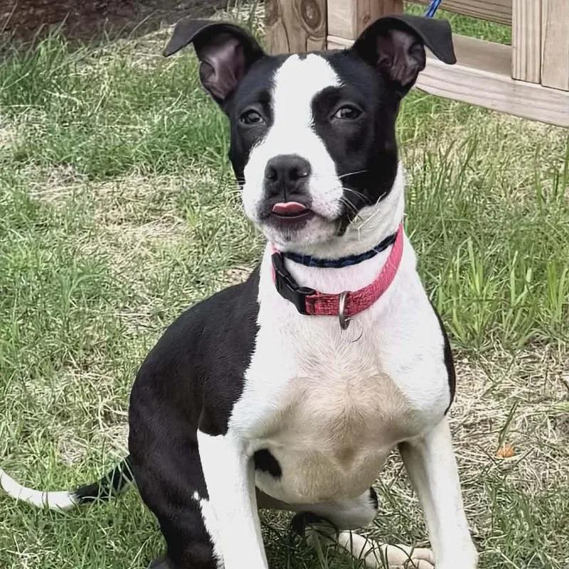 Penny