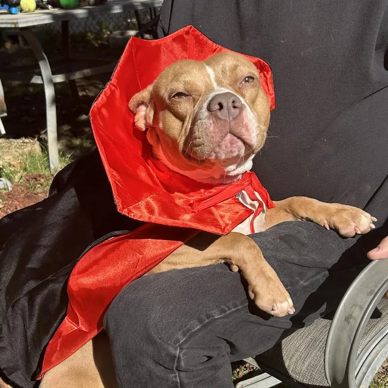 Miss Muppet thumbnail 2