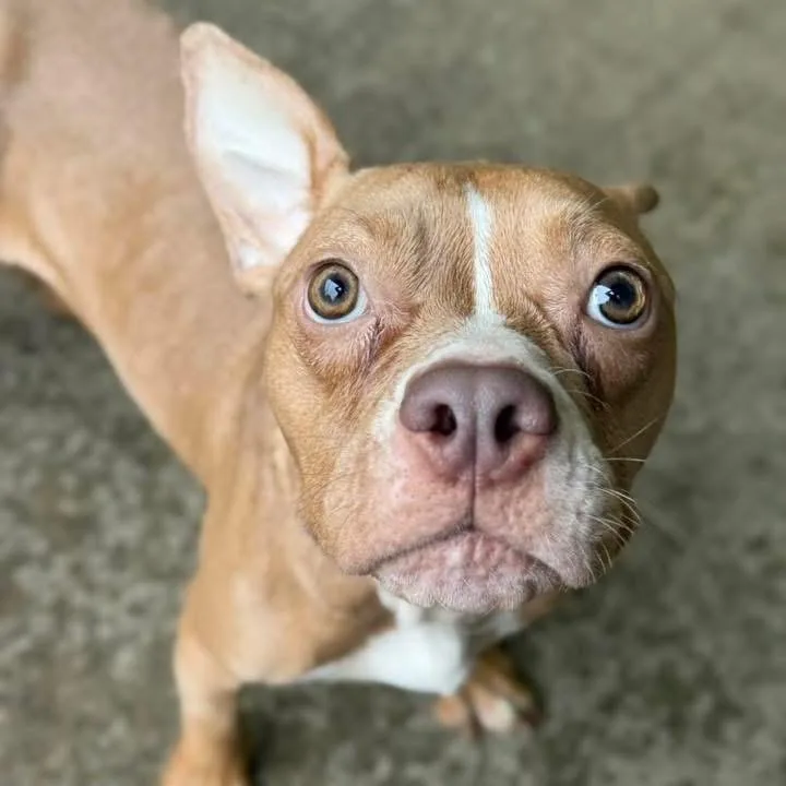 Miss Muppet thumbnail 5