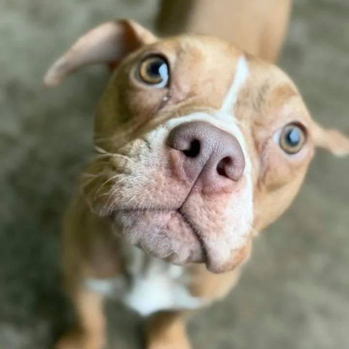 Miss Muppet thumbnail 6