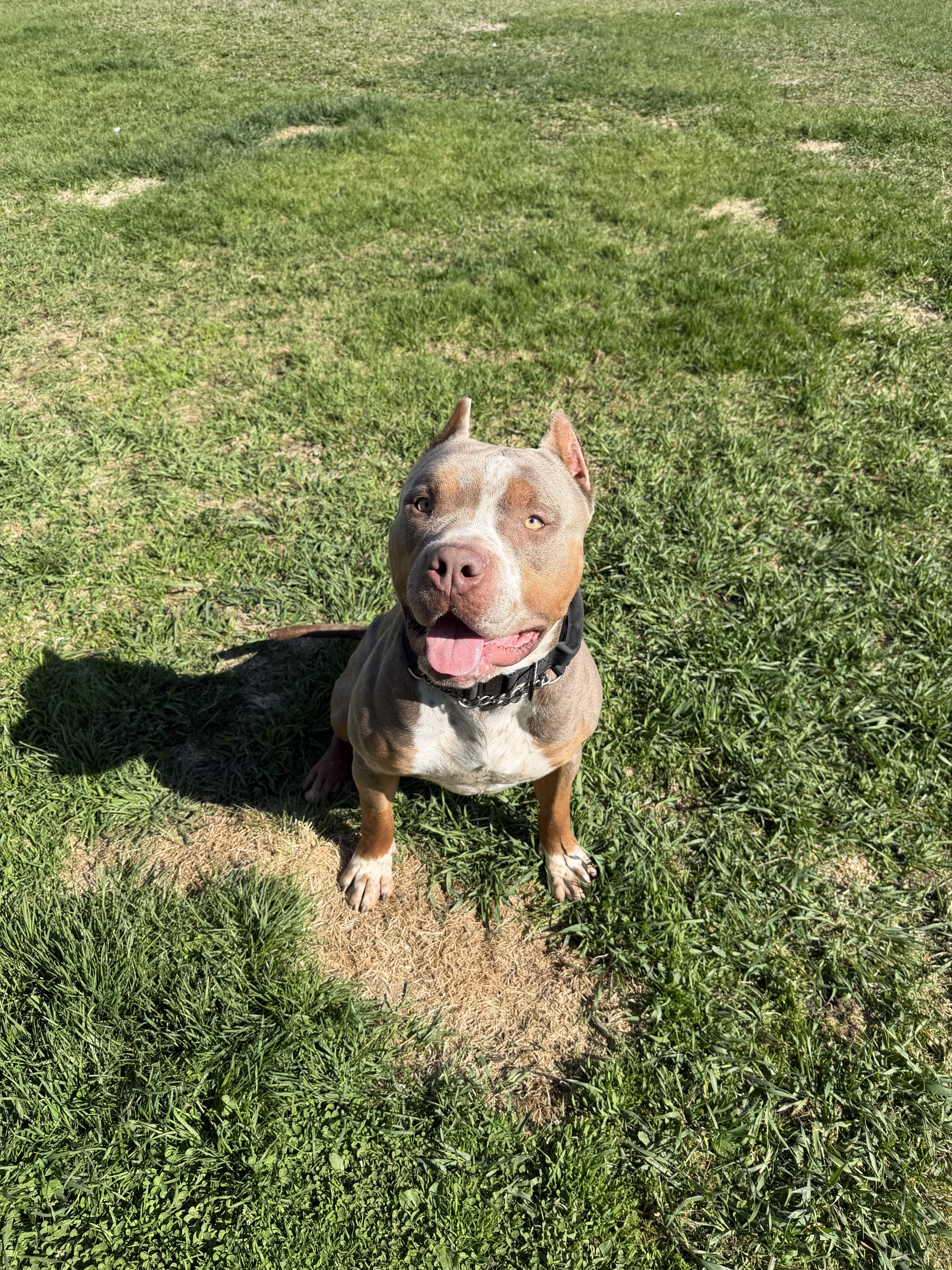 Zeus