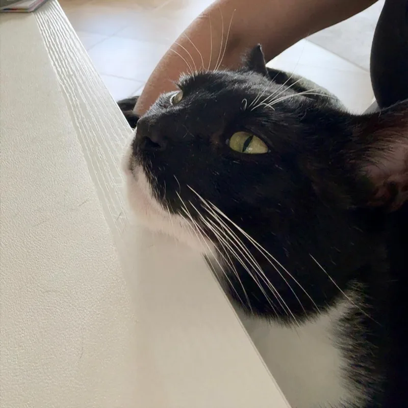 Jasper Courtesy Listingcontact Owner thumbnail 2