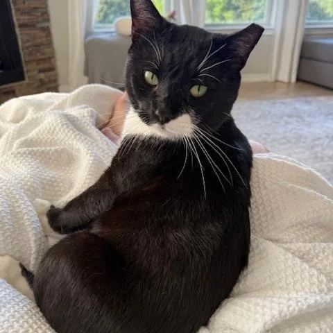 Jasper Courtesy Listingcontact Owner thumbnail 3