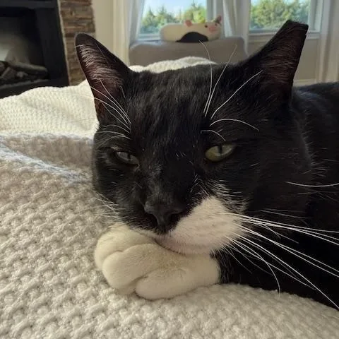 Jasper Courtesy Listingcontact Owner thumbnail 4