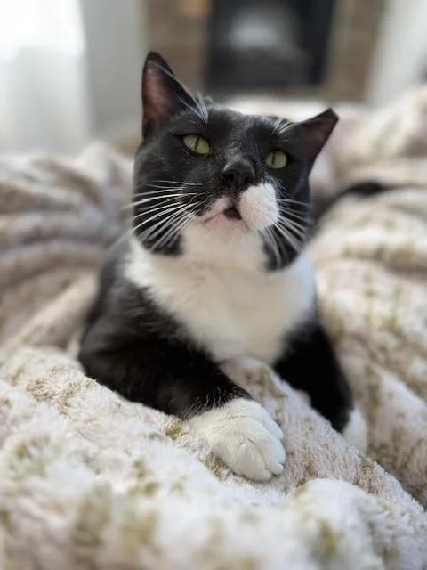 Jasper Courtesy Listingcontact Owner thumbnail 5