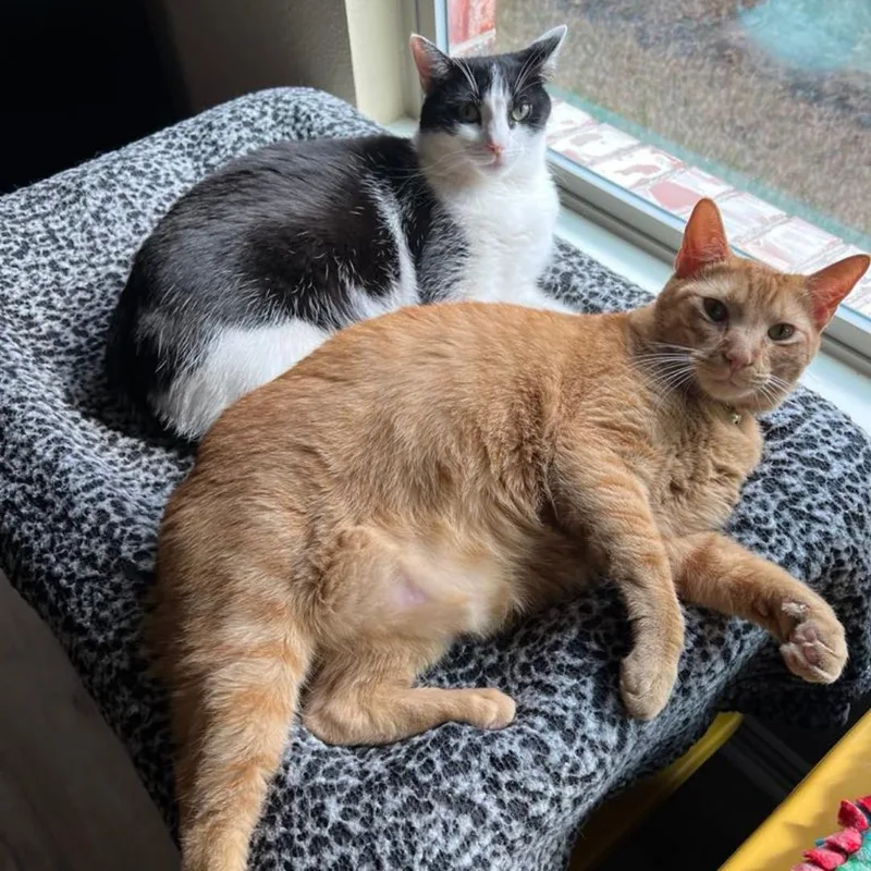 Bonded Alvarado & Jason thumbnail 2