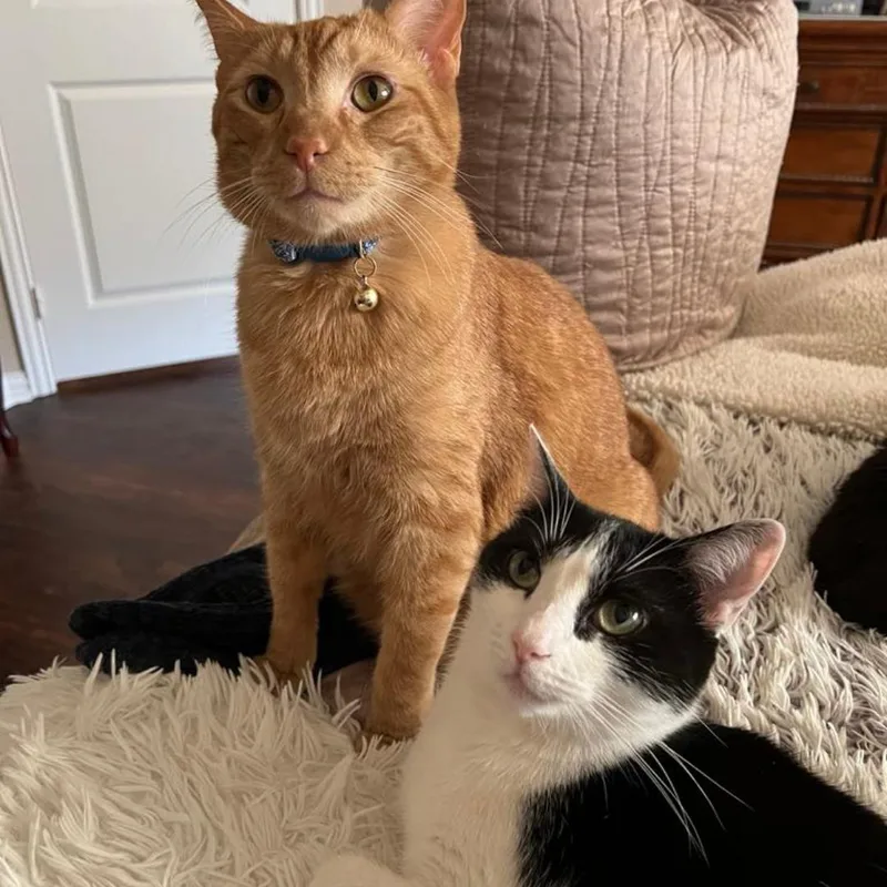 Bonded Alvarado & Jason thumbnail 3