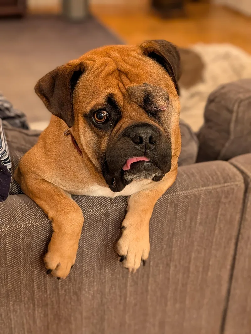 Sammy  Ca thumbnail 4