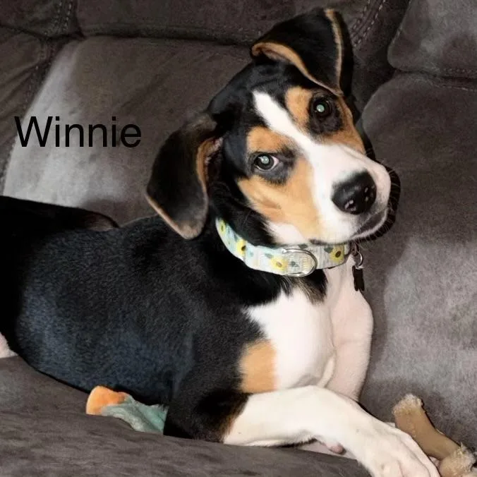 Winnie thumbnail 2
