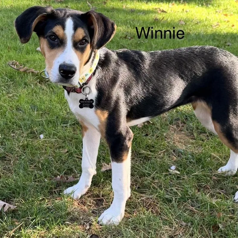 Winnie thumbnail 3