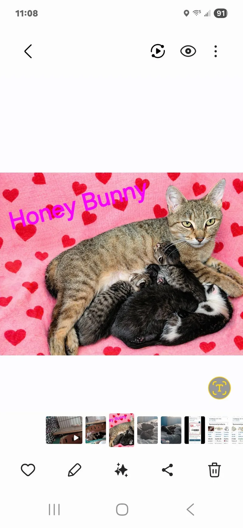 Honey Bunny thumbnail 2